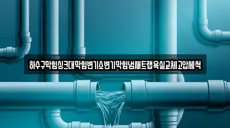 하수구막힘싱크대막힘변기소변기막힘냄새트랩욕실교체고압세척