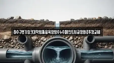 하수구변기싱크대막힘뚫음옥상방수누수페인트시공정화조뚜껑교체