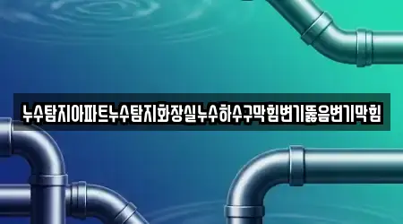 누수탐지아파트누수탐지화장실누수하수구막힘변기뚫음변기막힘