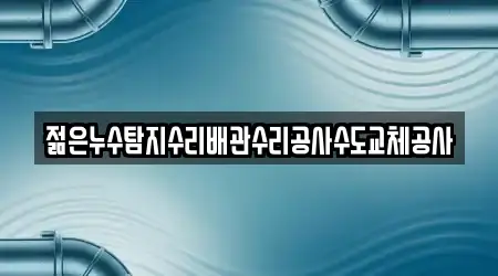 젊은누수탐지수리배관수리공사수도교체공사