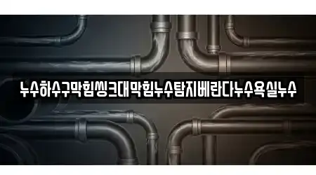 누수하수구막힘씽크대막힘누수탐지베란다누수욕실누수