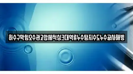 하수구막힘오수관고압세척싱크대역류누수탐지수도누수공사해빙
