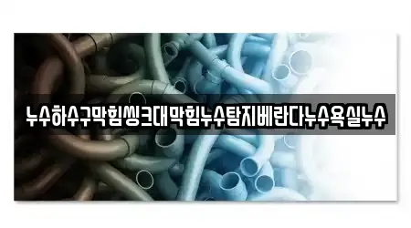 누수하수구막힘씽크대막힘누수탐지베란다누수욕실누수