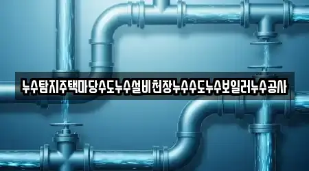 누수탐지주택마당수도누수설비천장누수수도누수보일러누수공사