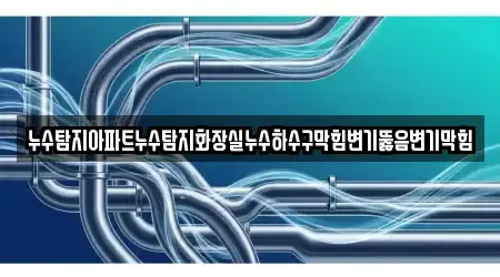 누수탐지아파트누수탐지화장실누수하수구막힘변기뚫음변기막힘
