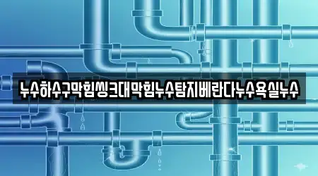 누수하수구막힘씽크대막힘누수탐지베란다누수욕실누수