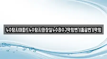 누수탐지아파트누수탐지화장실누수하수구막힘변기뚫음변기막힘