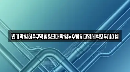 변기막힘하수구막힘싱크대막힘누수탐지고압세척모두시스템