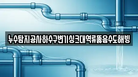 누수탐지공사하수구변기싱크대역류뚫음수도해빙