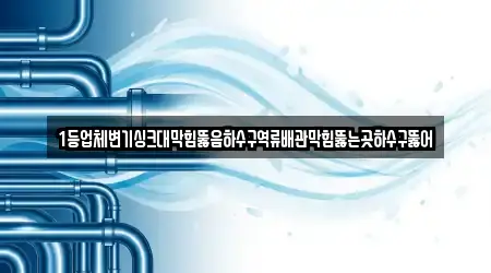 1등업체변기싱크대막힘뚫음하수구역류배관막힘뚫는곳하수구뚫어