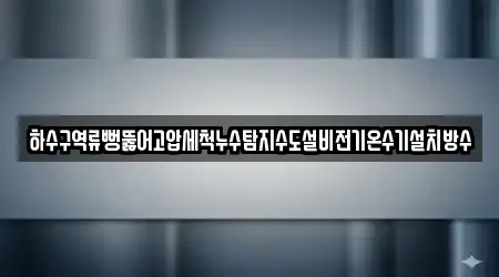 하수구역류뻥뚫어고압세척누수탐지수도설비전기온수기설치방수