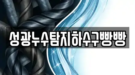 성광누수탐지하수구빵빵