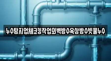 누수탐지업체코킹작업외벽방수옥상방수빗물누수
