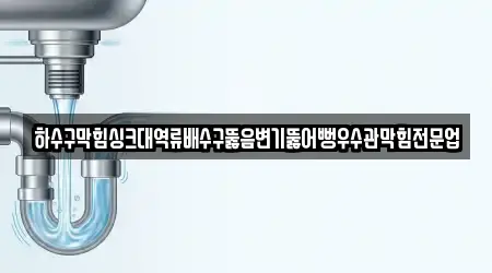 하수구막힘싱크대역류배수구뚫음변기뚫어뻥우수관막힘전문업