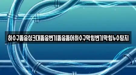 하수구뚫음싱크대뚫음변기뚫음뚫어하수구막힘변기막힘누수탐지