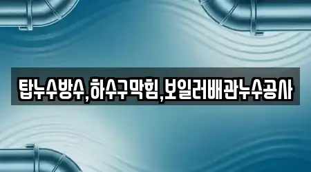 탑누수방수,하수구막힘,보일러배관누수공사