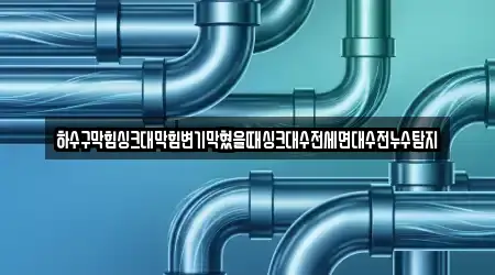하수구막힘싱크대막힘변기막혔을때싱크대수전세면대수전누수탐지