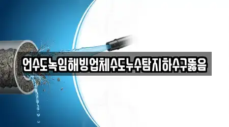 5곳 하수구 뚫음 근처 고양시 가좌동
