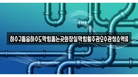 하수구뚫음하수도막힘뚫는곳화장실막힘횡주관오수관청소역류