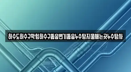 하수도하수구막힘하수구뚫음변기뚫음누수탐지물새는곳누수탐사