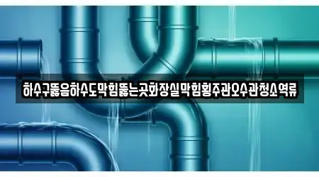 하수구뚫음하수도막힘뚫는곳화장실막힘횡주관오수관청소역류