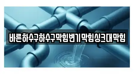 바른하수구하수구막힘변기막힘싱크대막힘