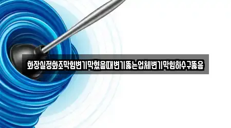 화장실정화조막힘변기막혔을때변기뚫는업체변기막힘하수구뚫음