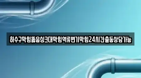 하수구막힘뚫음싱크대막힘역류변기막힘24시간출동상담가능
