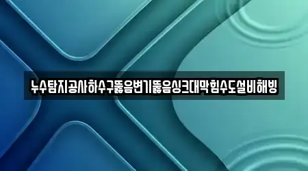 누수탐지공사하수구뚫음변기뚫음싱크대막힘수도설비해빙