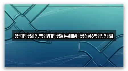 싱크대막힘하수구막힘변기막힘뚫는곳배관막힘정화조막힘누수탐지