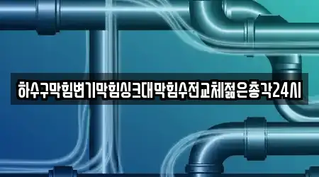 하수구막힘변기막힘싱크대막힘수전교체젊은총각24시