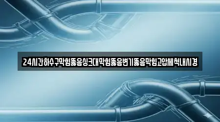 24시간하수구막힘뚫음싱크대막힘뚫음변기뚫음막힘고압세척내시경