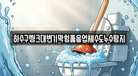 하수구씽크대변기막힘뚫음업체수도누수탐지