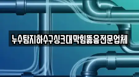 누수탐지하수구싱크대막힘뚫음전문업체