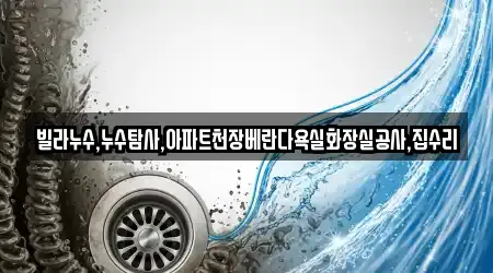 빌라누수,누수탐사,아파트천장베란다욕실화장실공사,집수리