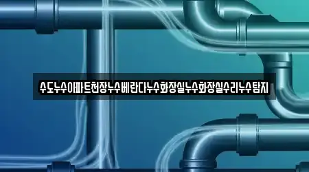 수도누수아파트천장누수베란다누수화장실누수화장실수리누수탐지