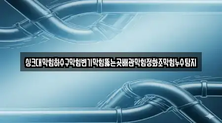 싱크대막힘하수구막힘변기막힘뚫는곳배관막힘정화조막힘누수탐지