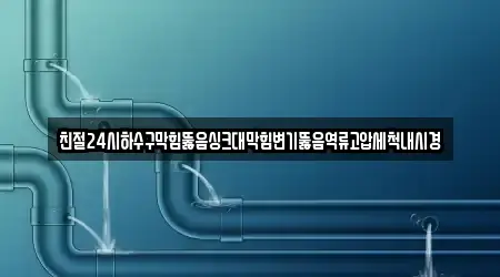 친절24시하수구막힘뚫음싱크대막힘변기뚫음역류고압세척내시경