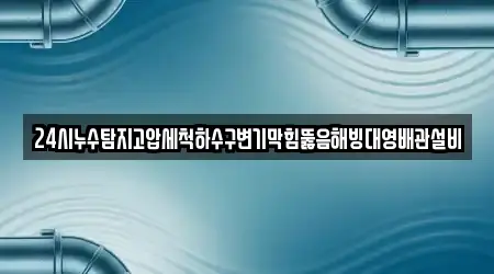 24시누수탐지고압세척하수구변기막힘뚫음해빙대영배관설비