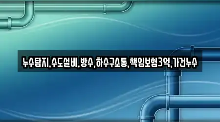 누수탐지,수도설비,방수,하수구소통,책임보험3억,가건누수