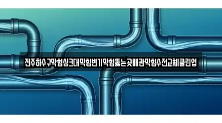전주하수구막힘싱크대막힘변기막힘뚫는곳배관막힘수전교체클린업