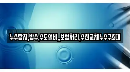 누수탐지,방수,수도설비,,보험처리,수전교체누수구조대