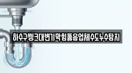 하수구씽크대변기막힘뚫음업체수도누수탐지