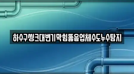 하수구씽크대변기막힘뚫음업체수도누수탐지