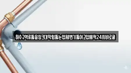 하수구역류뚫음싱크대막힘뚫는업체변기뚫어고압세척24시바로쿨