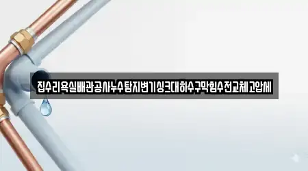 집수리욕실배관공사누수탐지변기싱크대하수구막힘수전교체고압세