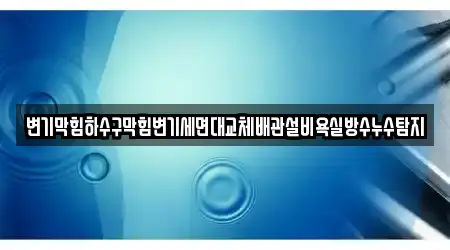 변기막힘하수구막힘변기세면대교체배관설비욕실방수누수탐지