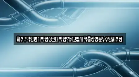 하수구막힘변기막힘싱크대막힘역류고압세척출장방문누수탐지수전