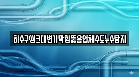 하수구씽크대변기막힘뚫음업체수도누수탐지