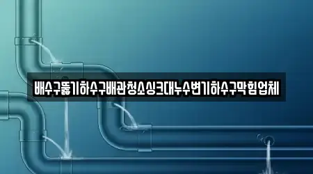 배수구뚫기하수구배관청소싱크대누수변기하수구막힘업체